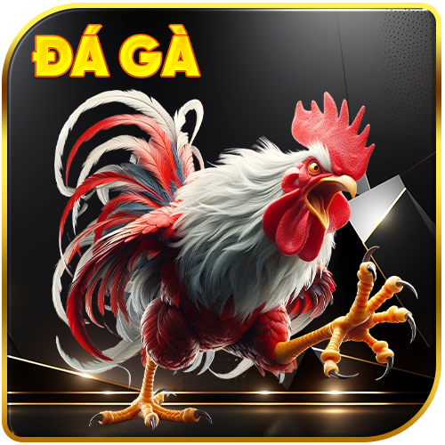 đá gà
