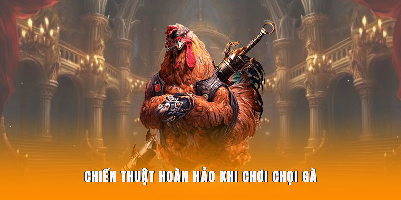 Chiến thuật hoàn hảo khi chơi chọi gà