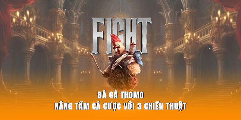 Đá Gà Thomo - Nâng Tầm Cá Cược Với 3 Chiến Thuật