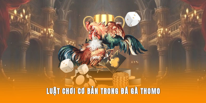 Luật chơi chuẩn được công nhận trong đá gà Thomo