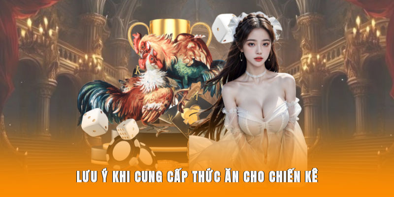 Lưu ý khi cung cấp thức ăn cho chiến kê