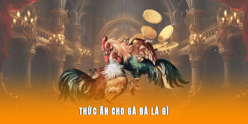 Thức ăn cho gà đá là gì?