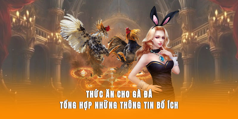 Thức Ăn Cho Gà Đá - Tổng Hợp Những Thông Tin Bổ Ích